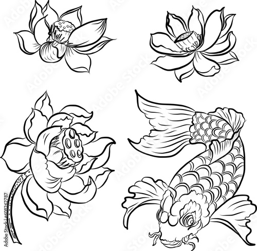 Koii fish vector,swiming on river,koi carp with lotus and lotus leaf on a blue background.Traditional Japanese culture art for printing on white background. 