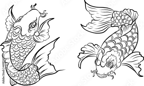koi carp vector isolate for tattoo.Japanese carp drawing.Hand drawn line art of Koi carp. Vector isolated. Idea for tattoo and coloring books.