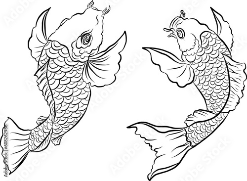 koi carp vector isolate for tattoo.Japanese carp drawing.Hand drawn line art of Koi carp. Vector isolated. Idea for tattoo and coloring books.