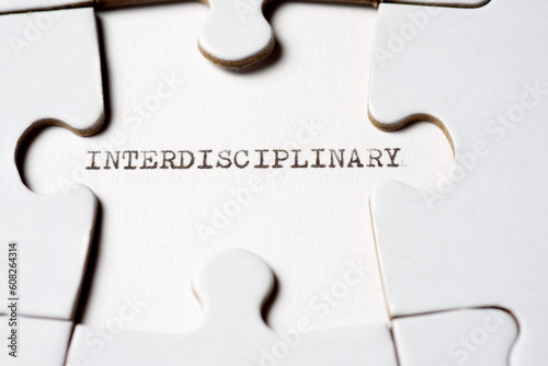Interdisciplinary concept view