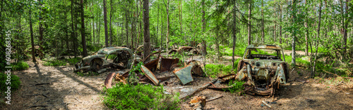 Schrottplatz ein einem Wald