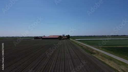 Aerial view of an agricultural field with rows of newly planted potato plants.