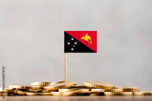 The Flag of Papua New Guinea with Coins.