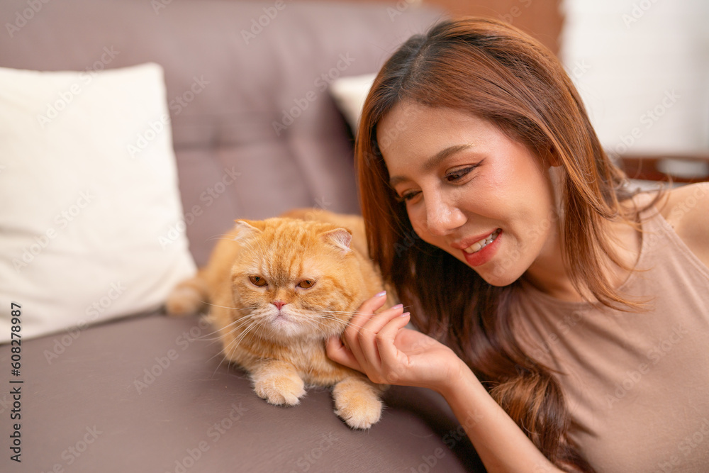 Close up beautiful Asian woman sit near her orange cat also scratch the chin of cat to make it relax and happy on sofa.