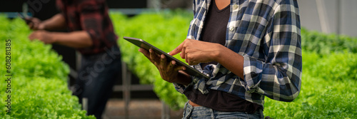 African american woman checking quality of hydroponic vegetable on tablet in hydroponic greenhouse