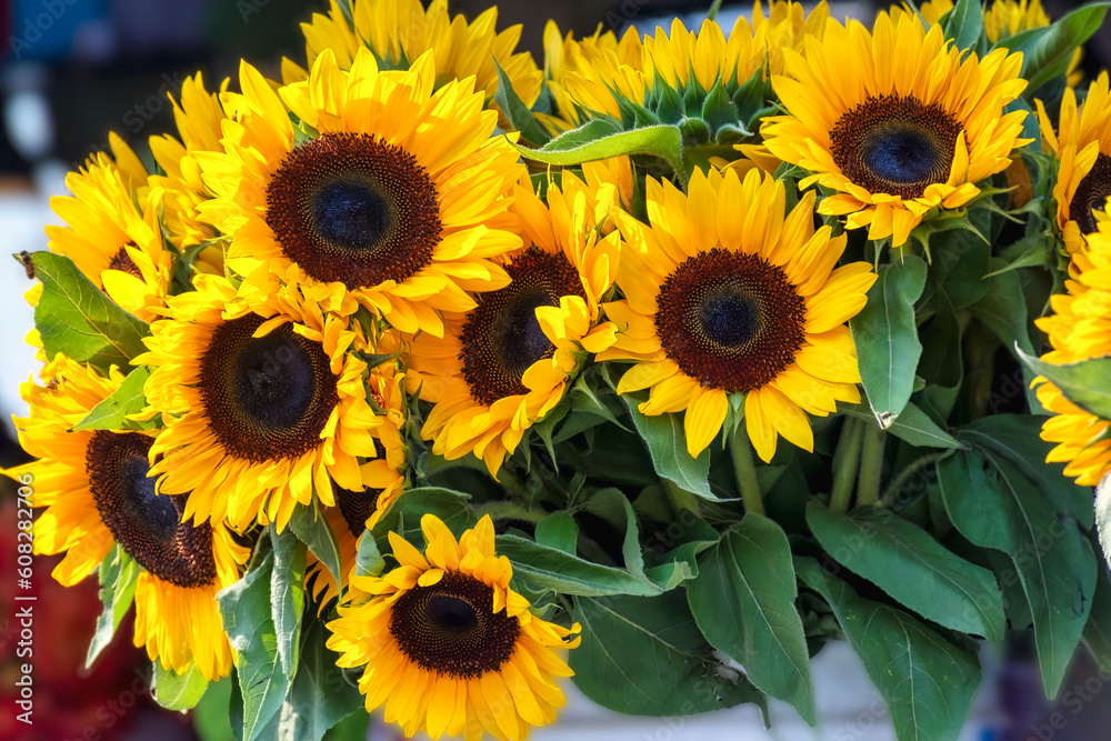 Fototapeta premium sunflowers at a farmers market