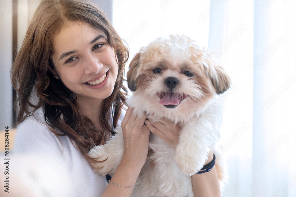 Teen girl holding and playing with her pet dog, Shih Tzu puppy and teen girl play fun at home, lovely pet Teen girl holding and playing with her pet dog, Shih Tzu puppy and teen girl play fun at home, lovely pet