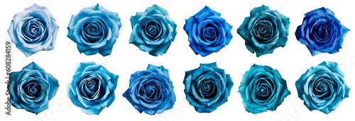 illustrations set of isolated blue colored rose flowers. Created with Generative AI  