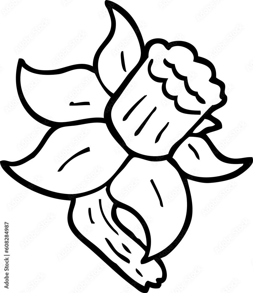 Obraz premium black and white cartoon daffodil