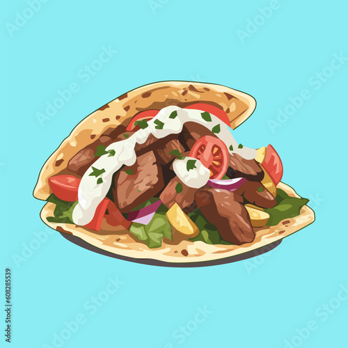 Traditional Greek wrapped sandwich gyros Vector Illustration