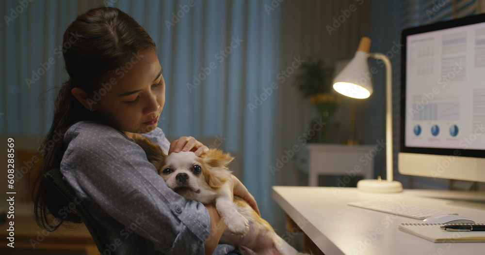 Young asia single woman remote work late night at home office workspace hug kiss cute sleepy chihuahua dog. Pet as child millennial lifestyle. Small animal puppy stress relief therapy for workforce.