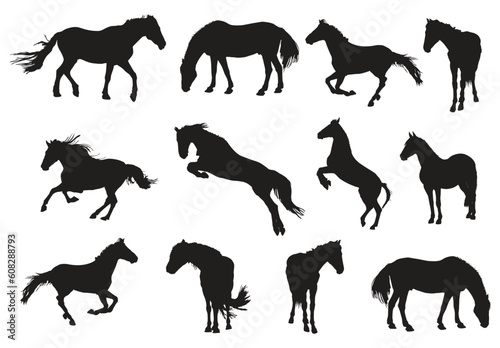 Set of horse silhouettes collection vector shapes illustration