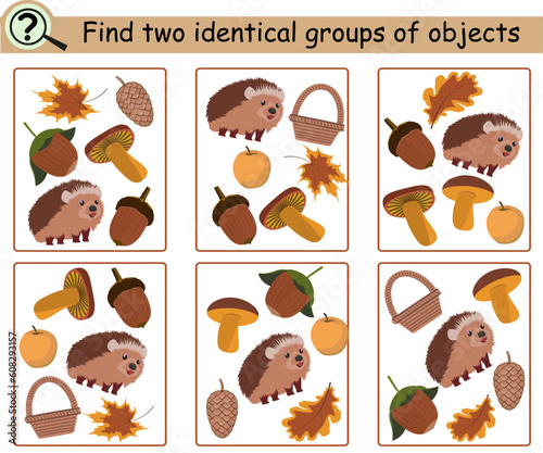 Find two identical groups of objects. Educational logical game for children with hedgehog, nuts, autumn leaves. Vector illustration.