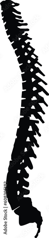 spine cord icon. human spine sing. spine pain medical center symbol. flat style. spine cord icon. human spine sing. spine pain medical center symbol. flat style.