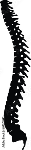 spine cord icon. human spine sing. spine pain medical center symbol. flat style.