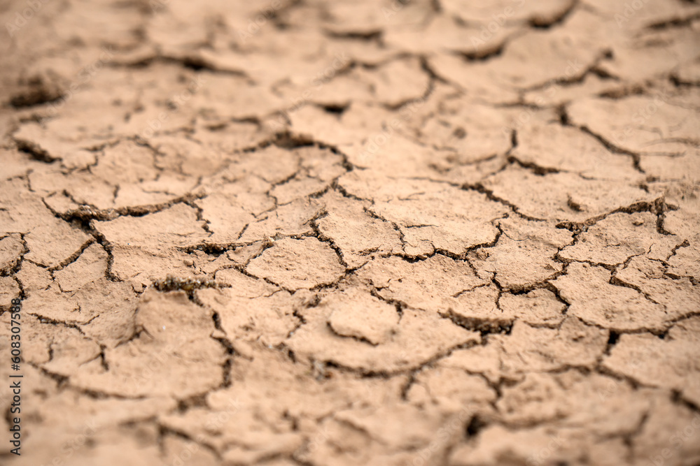 Fototapeta premium Dry and crack soil .
