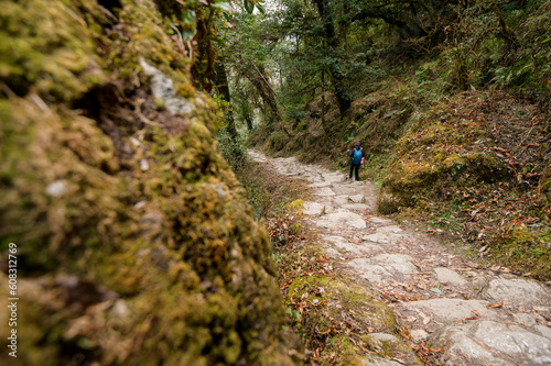 A young traveller trekking on forest trail , Nepal