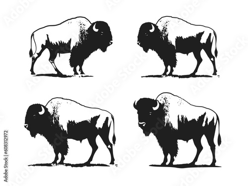 Set of American bison silhouette