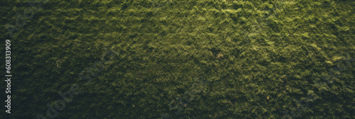 panoramic of an aerial view of a soccer green field lush, perfect texture pattern, AI