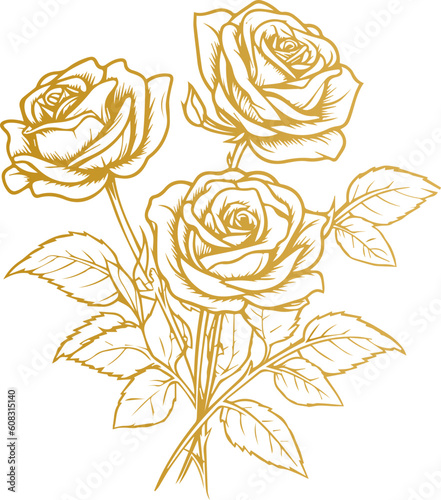 Hand drawn roses. Sketch rose flowers with buds, leaves and stems . golden vintage etching vector botanical isolated on transparent. Illustration of rose petal, sketch botany floral plant, PNG and SVG