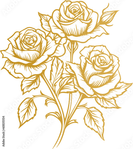 Hand drawn roses. Sketch rose flowers with buds, leaves and stems . golden vintage etching vector botanical isolated on transparent. Illustration of rose petal, sketch botany floral plant, PNG and SVG