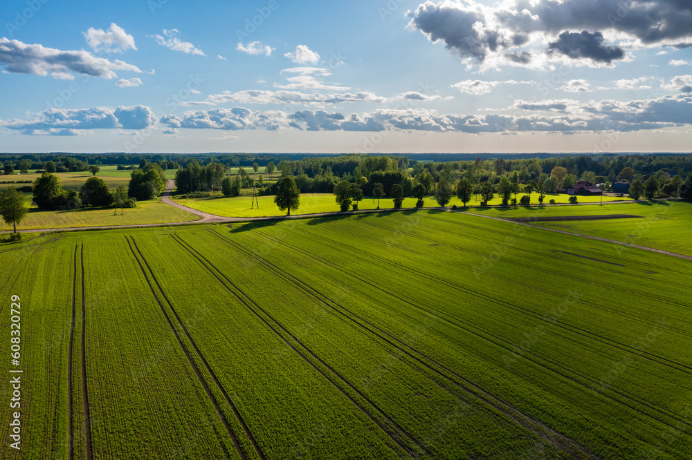 Farm field top view in summer