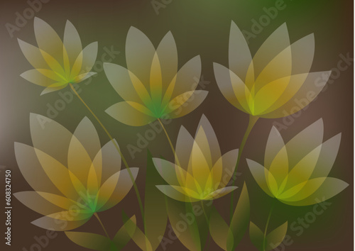 dark background with transparent flowers