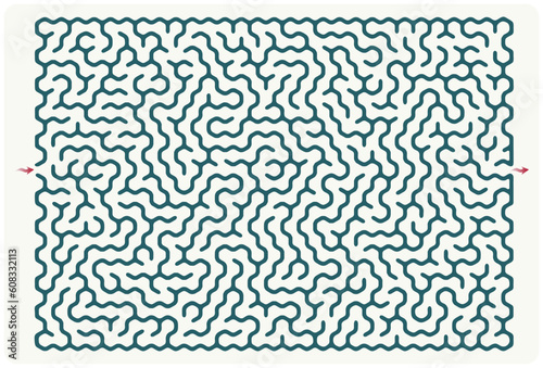 Labyrinth vector, with entry and exit arrows. Fun maze design.