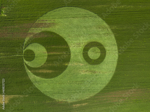 Cerchi nel Grano nel nord Italia