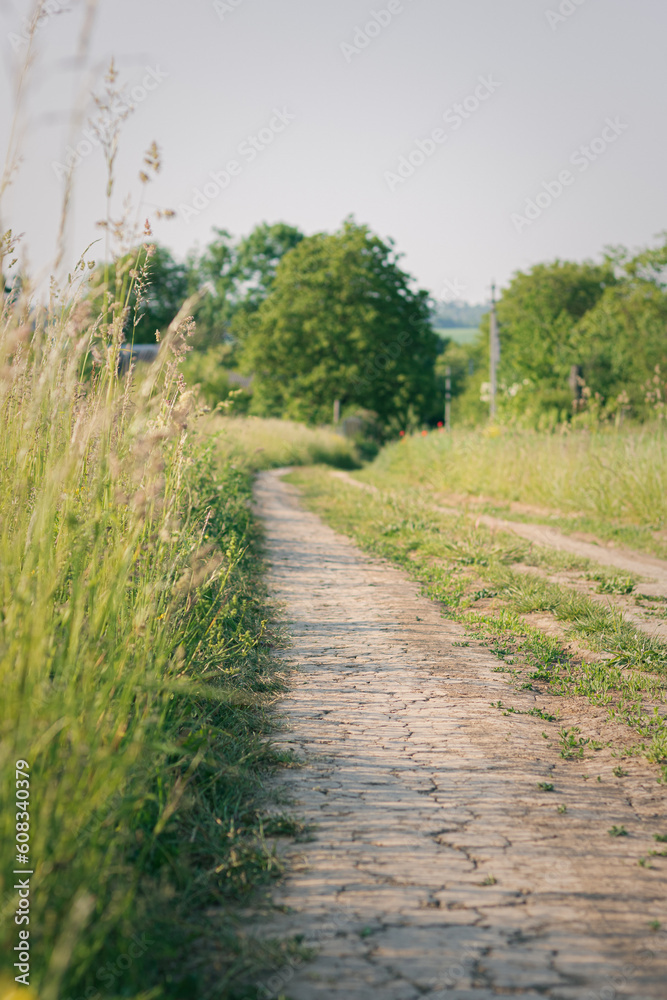 road in the countryside. road in the field. the road behind the village in Ukraine. unpaved rural road road in the countryside. road in the field. the road behind the village in Ukraine. unpaved rural road