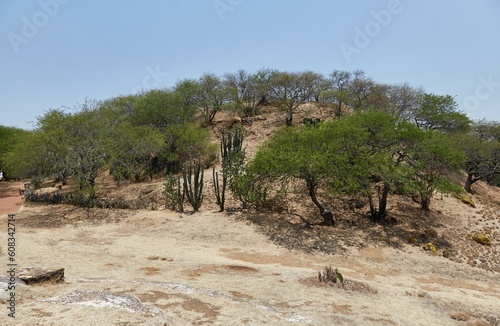 Tomb findings from Zaachila, Oaxaca, on display at Mexico City's National Museum of Anthropology photo