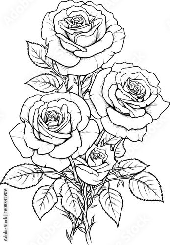 Wallpaper Mural Rose Flower Line Art Torontodigital.ca
