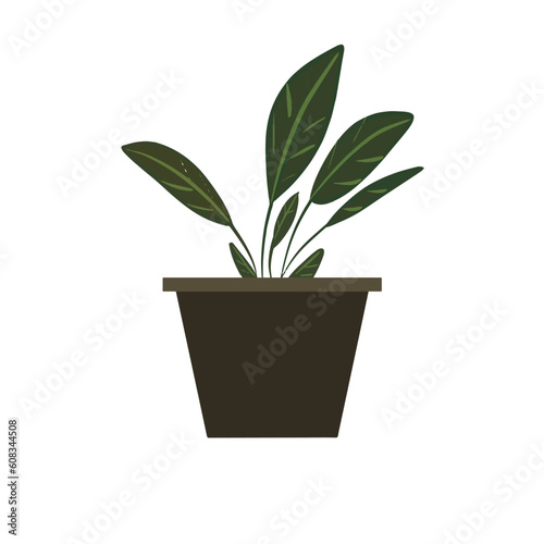 small potted ornamental plant vector graphic