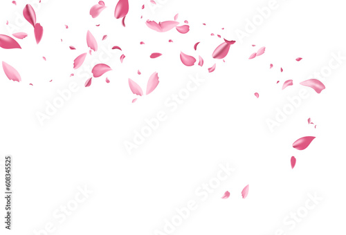 Delicate Lotus Spring Vector White Background.