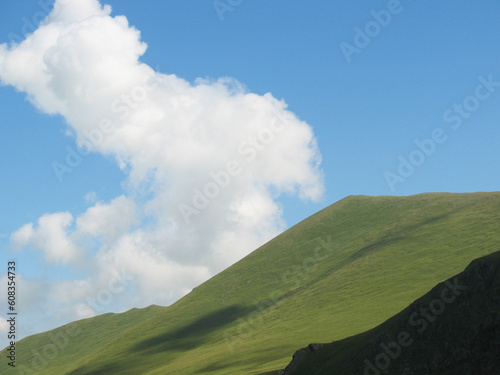 beautiful, beauty, embroidery, fashion, red, accessory, white, silver base, silver, ribbon chain, plastic canvas, necklace, yellow, jewelry, jewellery, handmade, green, flower, cross stitch, blue, mic