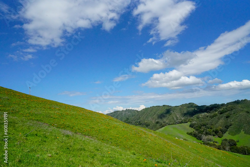 Fototapeta Naklejka Na Ścianę i Meble -  Beautiful day hiking at Las Trampas in San Ramon, California