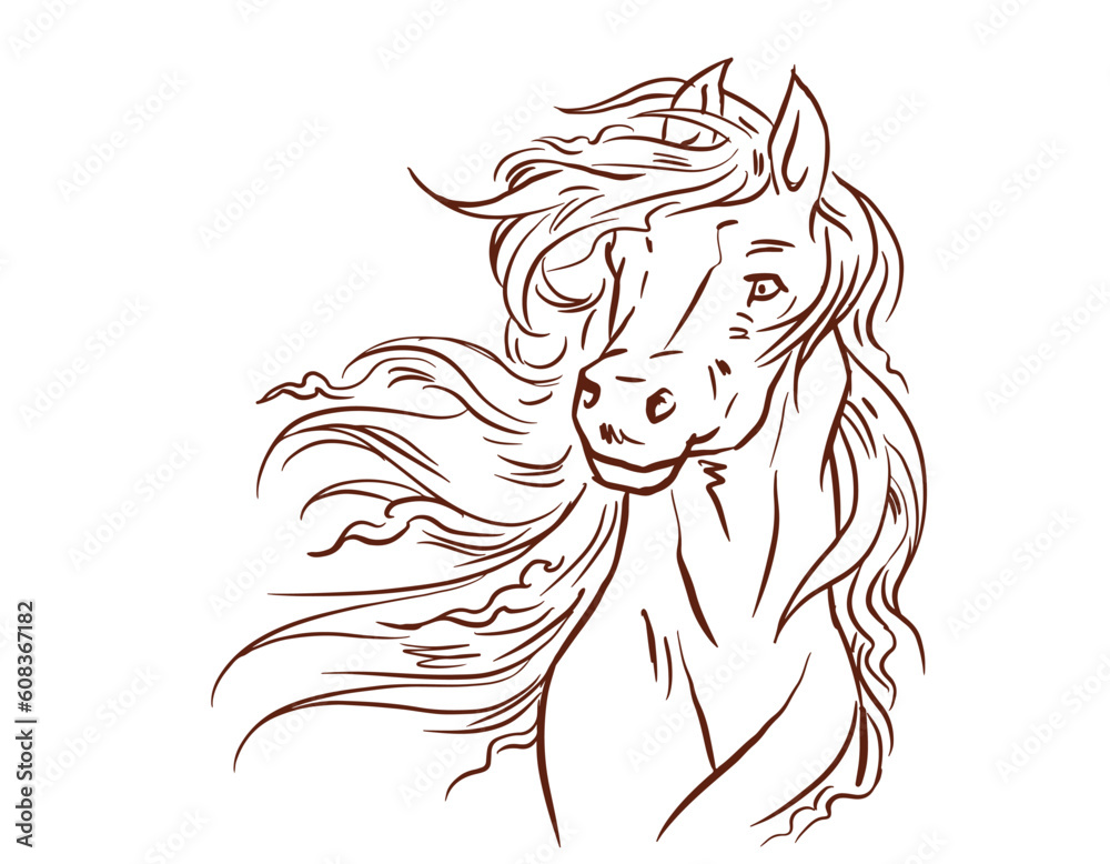 Fototapeta premium horse head illustration vector for illustration decoration background