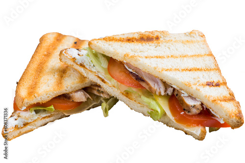 Grilled sandwich with vegetables and chicken in a triangular shape