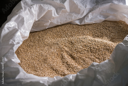 Malt grains at a brewery photo