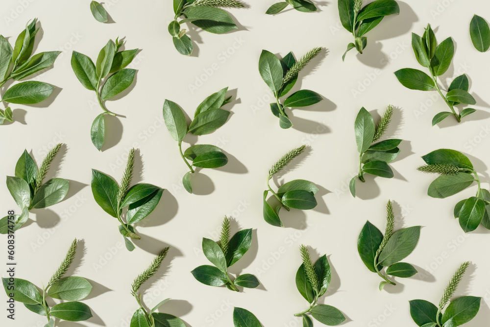 Minimal creative pattern, spring tree branches with new green leaves at sunlight with hard shadow, Top view botanical design photo, spring nature aesthetic flat lay, layout from young twigs Minimal creative pattern, spring tree branches with new green leaves at sunlight with hard shadow, Top view botanical design photo, spring nature aesthetic flat lay, layout from young twigs