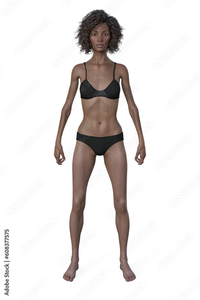 A 3D illustration of a female body with ectomorph body type
