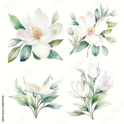 Set of white bloom floral watecolor. flowers and leaves. Floral poster, invitation floral. Vector arrangements for greeting card or invitation design