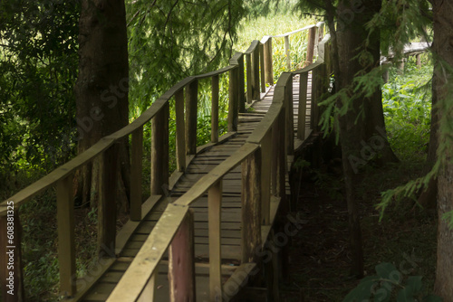 Sendero de madera en un bosque. Túnel vegetal y puente de madera. photo
