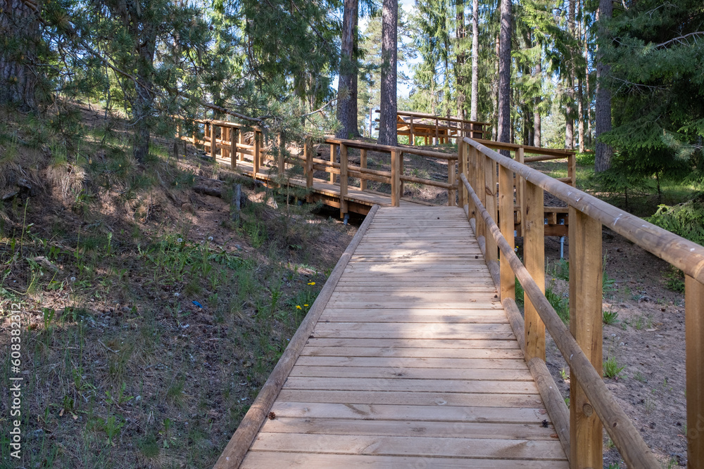 Wooden walking path in the forest. A newly constructed wooden trail for tourists.