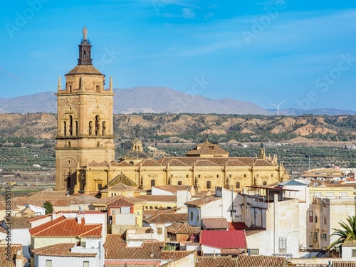 Guadix Cathedral and surroundings, Spain © estivillml