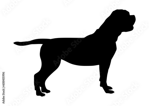 american bulldog black silhouette of a standing dog