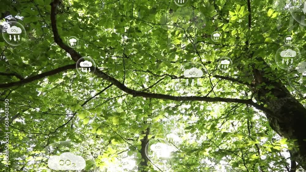 Green sunny tree crown with carbon dioxide net zero icons animation.