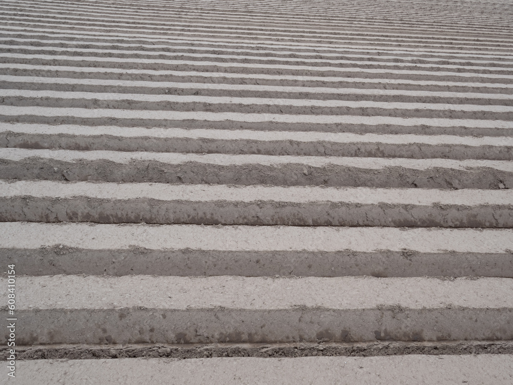 The field  at spring with furrows