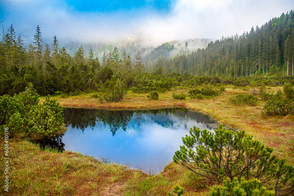 Alpine mountain scene with a pond reflecting the trees and a cloudy fogy sky Alpine mountain scene with a pond reflecting the trees and a cloudy fogy sky