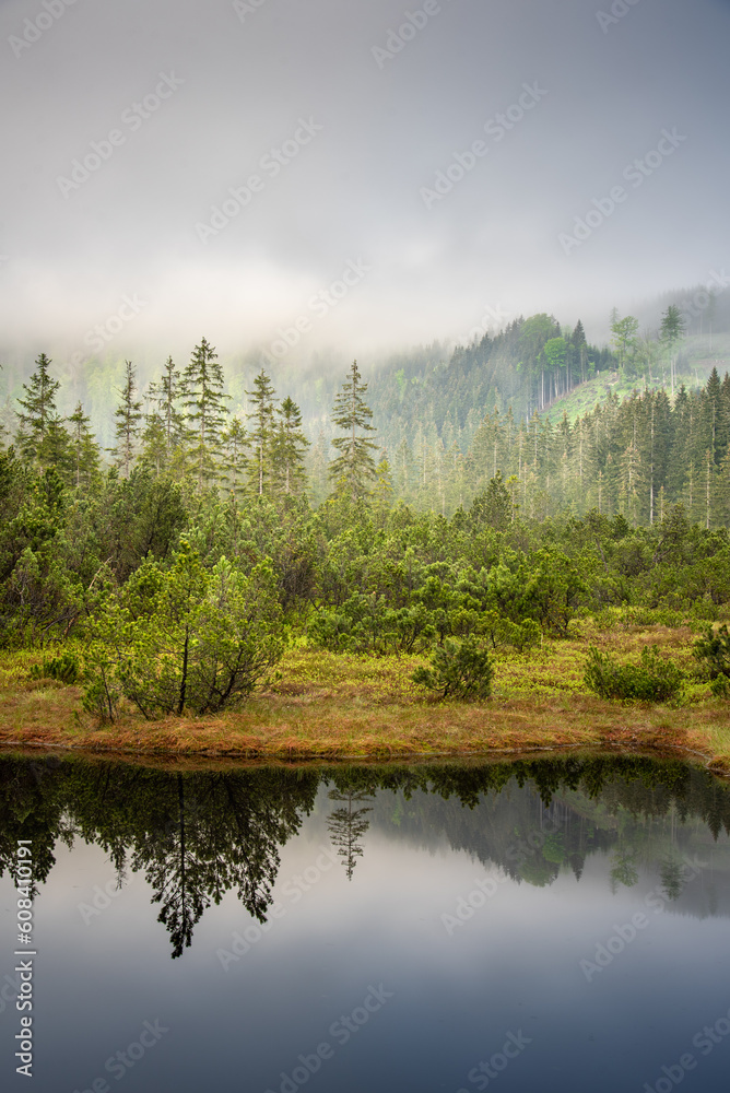 Morning lake in the alps mountains with pine trees and fogy weather condition
